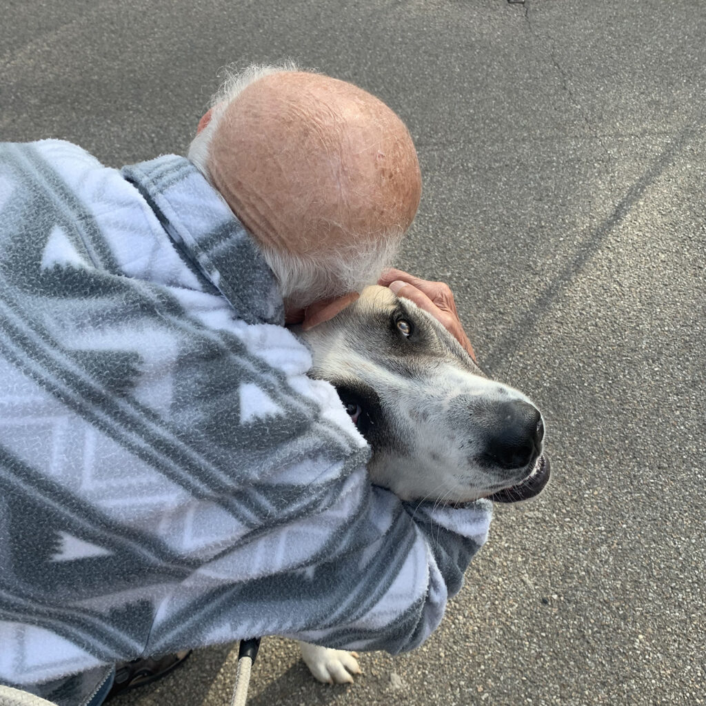 Cane e padrone