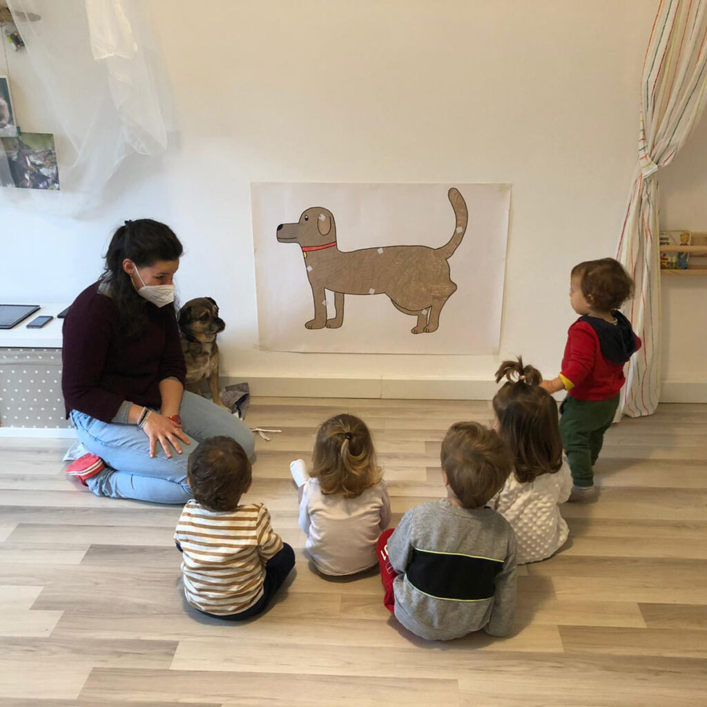 Pet therapy